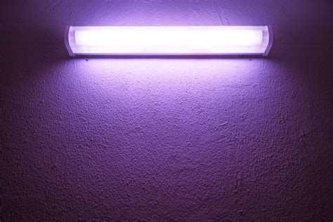 The Difference Between Black Light And Uv Light Hunker