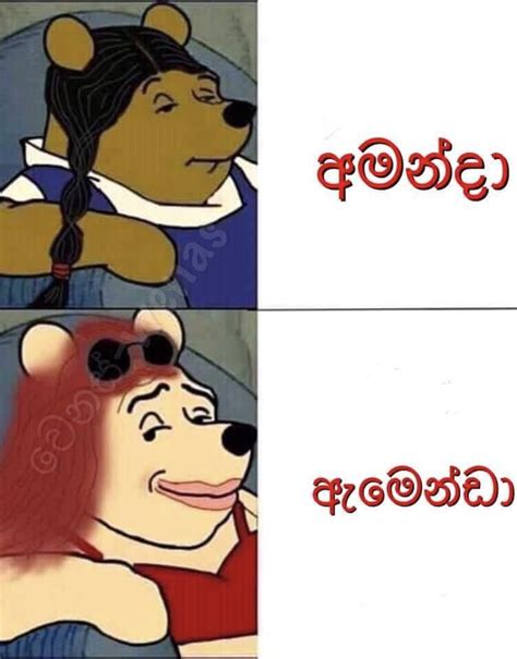 sri lankan memes on twitter it s අමැන්ඩා lka pooh names lkankan lankan poshgirls