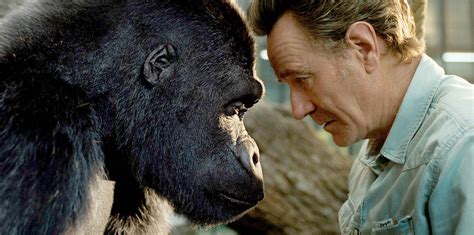 He was captured from the wild as a baby and brought to live with humans. 'Ivan' tells amazingly rendered story of a mall gorilla ...
