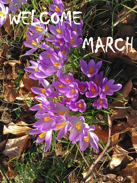 Welcome March Love The Springtime Spring Season Hello March