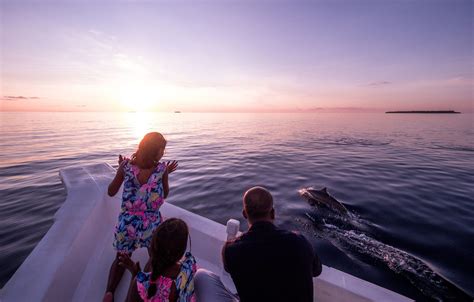 Sunset Dolphin Cruise Soneva