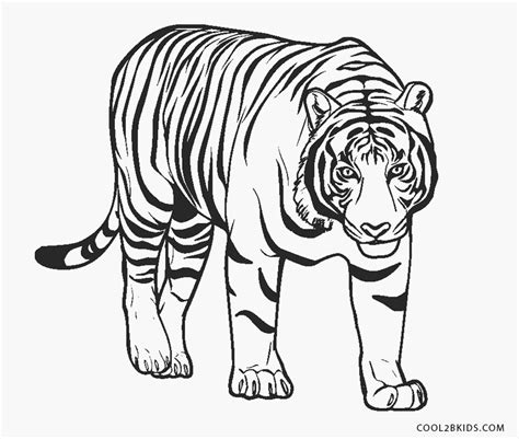 Coloriages Tigre Coloriages Gratuits Imprimer