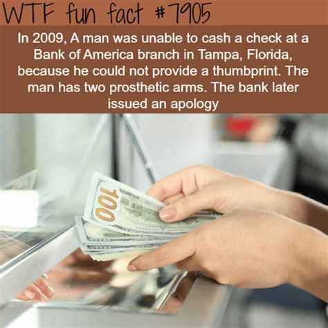 35 Wtf Fun Facts For Your Brain To Absorb Fun Facts Wtf Fun Facts