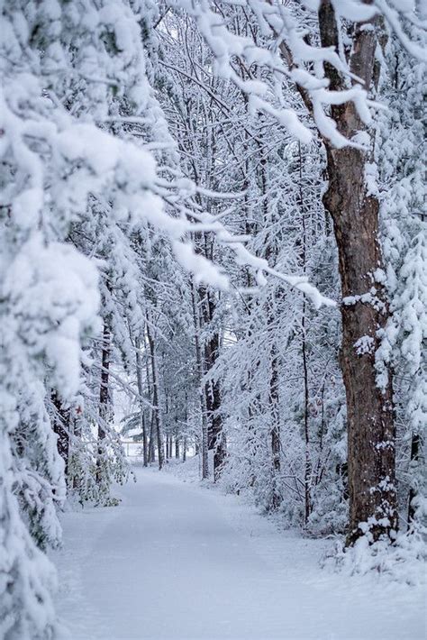 A Snowy Winter Path In Harbor Springs Michigan Winter Scenery