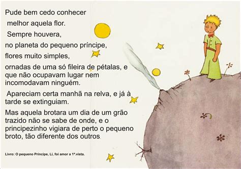Historia Pequeno Principe Completa