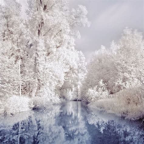 1000 Images About Winter Wonderland On Pinterest