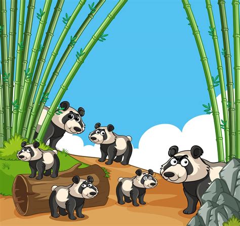 Many Pandas In Bamboo Forest 369523 Vector Art At Vecteezy