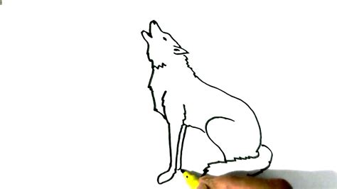 How To Draw Wolf Howling In Easy Steps For Children Beginners Youtube