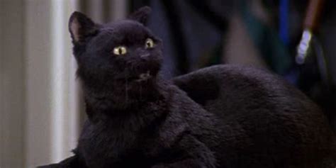 Sabrina The Teenage Witch Reboot Teases Salem The Cat In First Look Poster