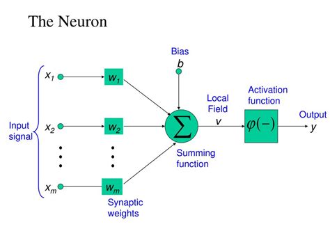 Ppt Neural Networks Powerpoint Presentation Free Download Id456763