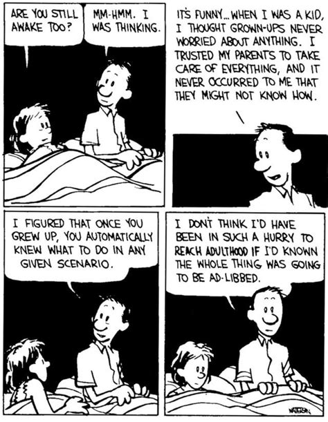I Love That Calvin And Hobbes Shows That Even Adults Worry