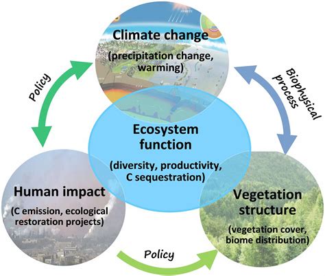 Climate Change Human Impacts And Carbon Sequestration In China Pnas