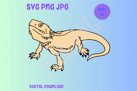 Bearded Dragon Svg Png  Clipart Graphic By Kaybeesvg · Creative Fabrica