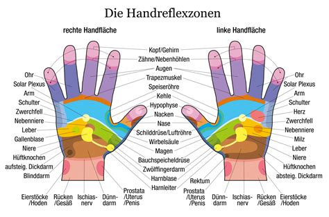 Handreflexzonenmassage ⇒ Ratgeber And Infografik