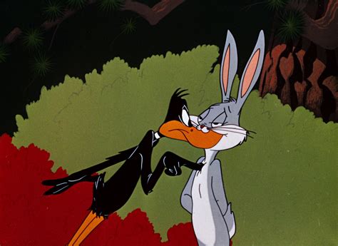 Looney Tunes Pictures Rabbit Seasoning