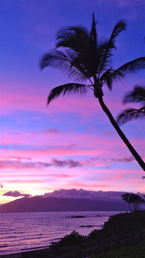 Purple Sunset Purple Beach Sunset Iphone Hd Phone Wallpaper Pxfuel