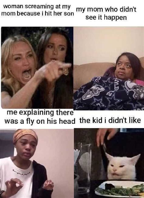 66 Woman Yelling At A Cat Memes That Still Slap In 2021 Funny