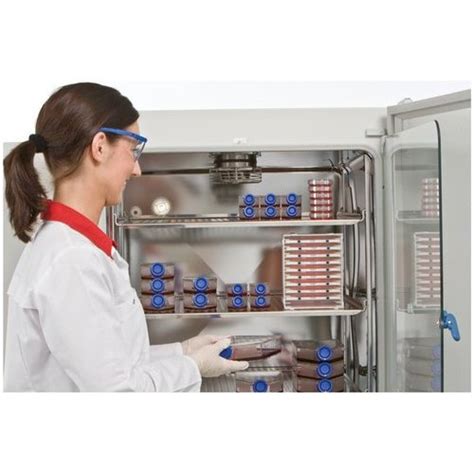 Thermo Fisher Midi CO2 Incubator at best price in Mumbai by Thermo