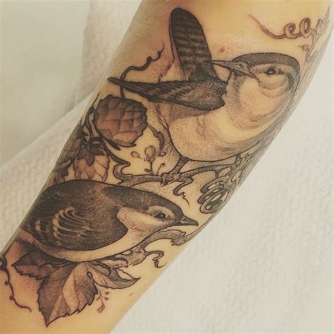A vine (latin vīnea grapevine, vineyard, from vīnum wine) is any plant with a growth habit of trailing or scandent (that is, climbing) stems, lianas or runners. Carolina Wren and Brown Creeper on a hop vine forearm ...