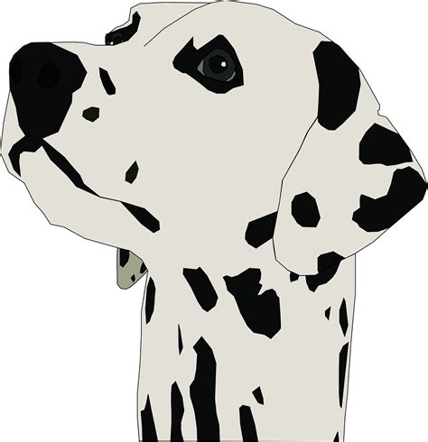 Dalmatian Head Clipart Original Size Png Image Pngjoy
