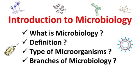 Introduction To Microbiology Youtube