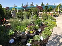 Sacramento Plant Nursery Find The Perfect Plants For Your Yard At Siteone Sacramento