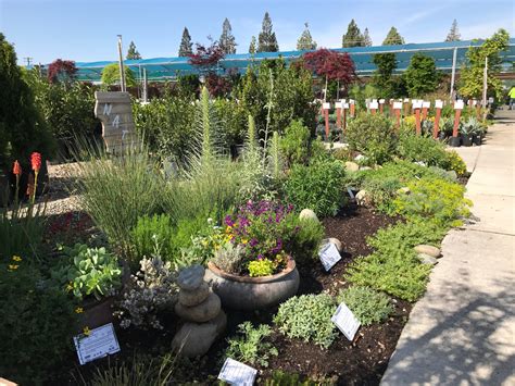Maybe you would like to learn more about one of these? Green Acres Nursery & Supply