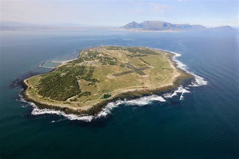 Flocking To Robben Island Tourists By Day Poachers By Night The New