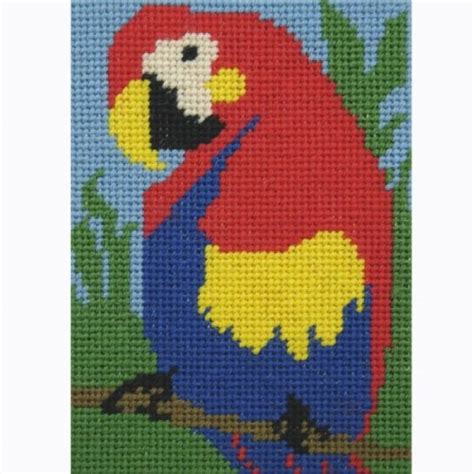 Beginner Needlepoint Kits