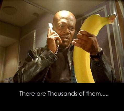 Image 77862 Suddenly Bananas Thousands Of Them Know Your Meme