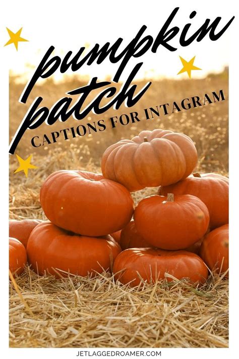 Text Says Pumpkin Patch Captions For Instagram Pumpkins Pumpkin Patch
