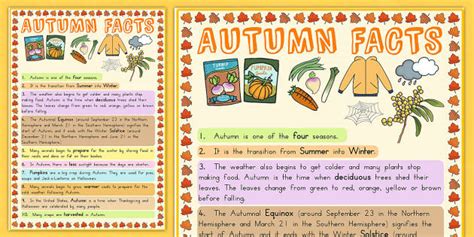 autumn information poster l insegnante ha fatto twinkl