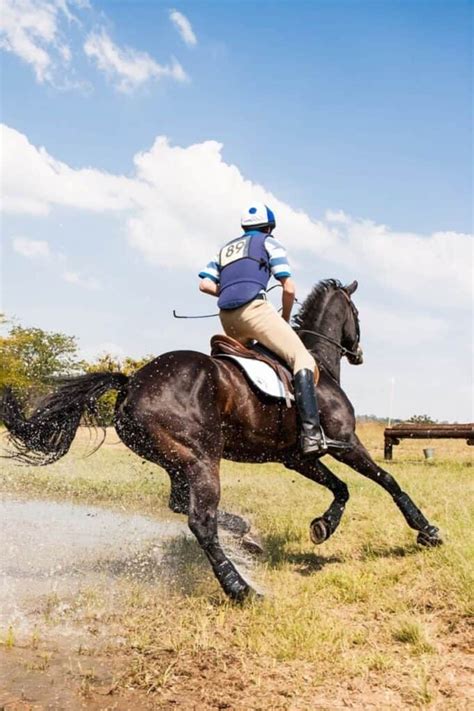 What Muscles Horseback Riding Actually Works Horse Learner