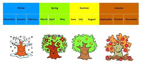 Vocabulary Seasons And Months Of The Year Diagram Quizlet