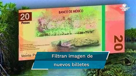Banxico alista salida de Juárez y Morelos en nuevos billetes de 20 y 50