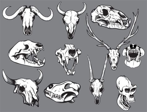 Animal Skull Tattoos And Drawings