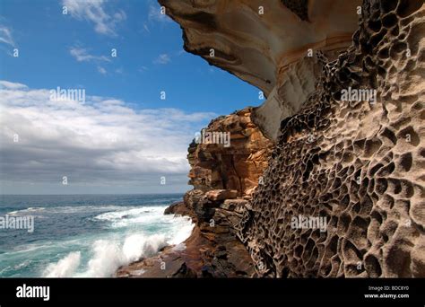 Eroded Coastal Sandstone Along The Sea Cliffs Near Bronte Sydney Nsw