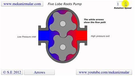 Each blower works differently according to the motor power. Roots Blower Five Lobe - YouTube