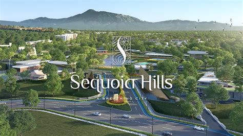 Sequoia Hills A Breathing City Youtube