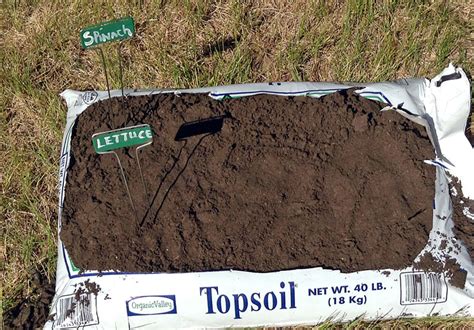 With our fast delivery and top quality topsoil, we ensure you'll. How to Grow Greens in a Bag of Potting Soil - New England ...