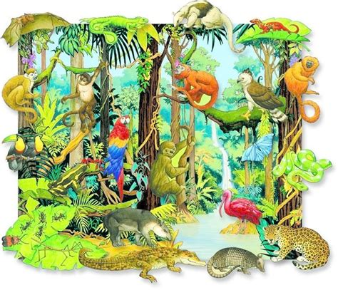The Rain Forest By Marina Rainforest Animals Rainforest Theme