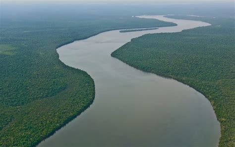 RÍo Amazonas Origen Historia Características Longitud Y Mucho Más