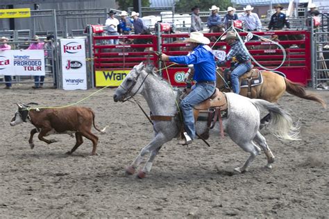 Team Roping At Nfr Can Turn Rivals Into Teammates National Finals