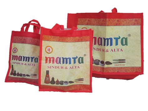 Multicolor Printed Non Woven Laminated Stitched Bag Rs 19piece Id 25282631773