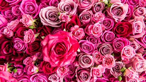 Valentine's day flower delivery is the perfect gift to celebrate your love. Ordering Valentine's Day Flowers? Watch This First - NBC ...