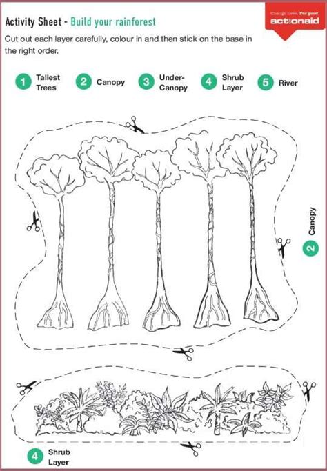 Rainforest Worksheets For Preschool
