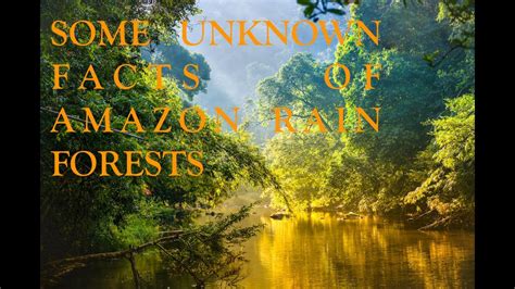 Some Unknown Facts Of Amazon Rain Forests Factsomania Youtube