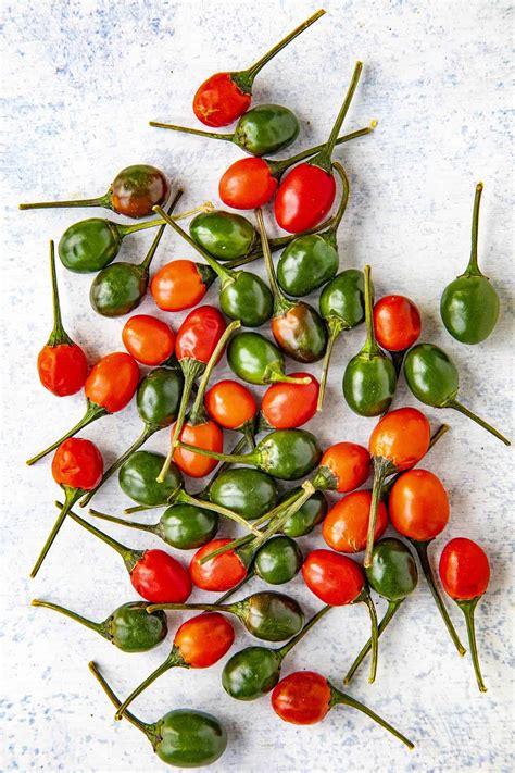 Chili Pepper Types A List Of Chili Peppers And Their Heat Levels Free Hot Nude Porn Pic Gallery