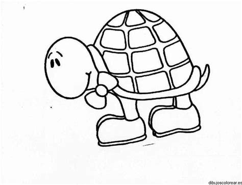 jmbbbb | Dibujo de una tortuga, Páginas para colorear, Páginas para