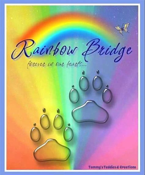 Free Rainbow Bridge Images For Dogs Web Feel Free To Download It